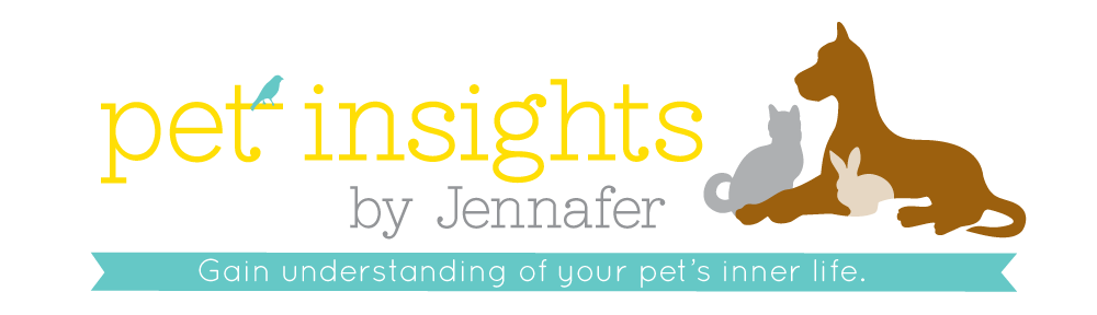 Pet Insights by Jennafer